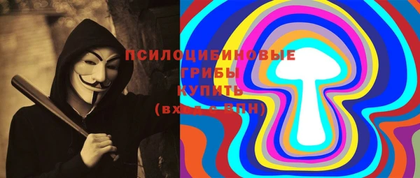индика Алексин