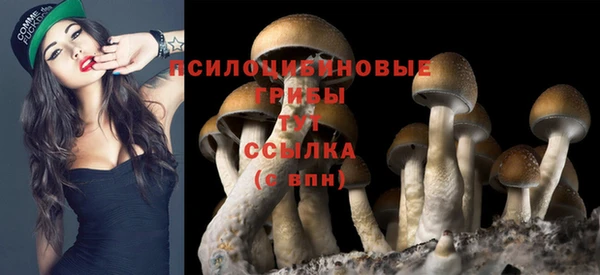 сатива Абдулино