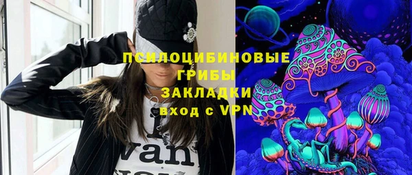 сатива Абдулино