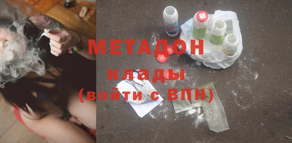 индика Алексин