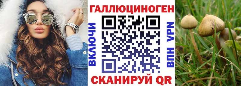 гидра как войти  Харабали  Псилоцибиновые грибы мухоморы  даркнет сайт 